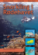 Forside af Snorkling i Rødehavet - om koralrevets almindeligste fisk